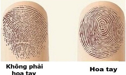 hoa tay